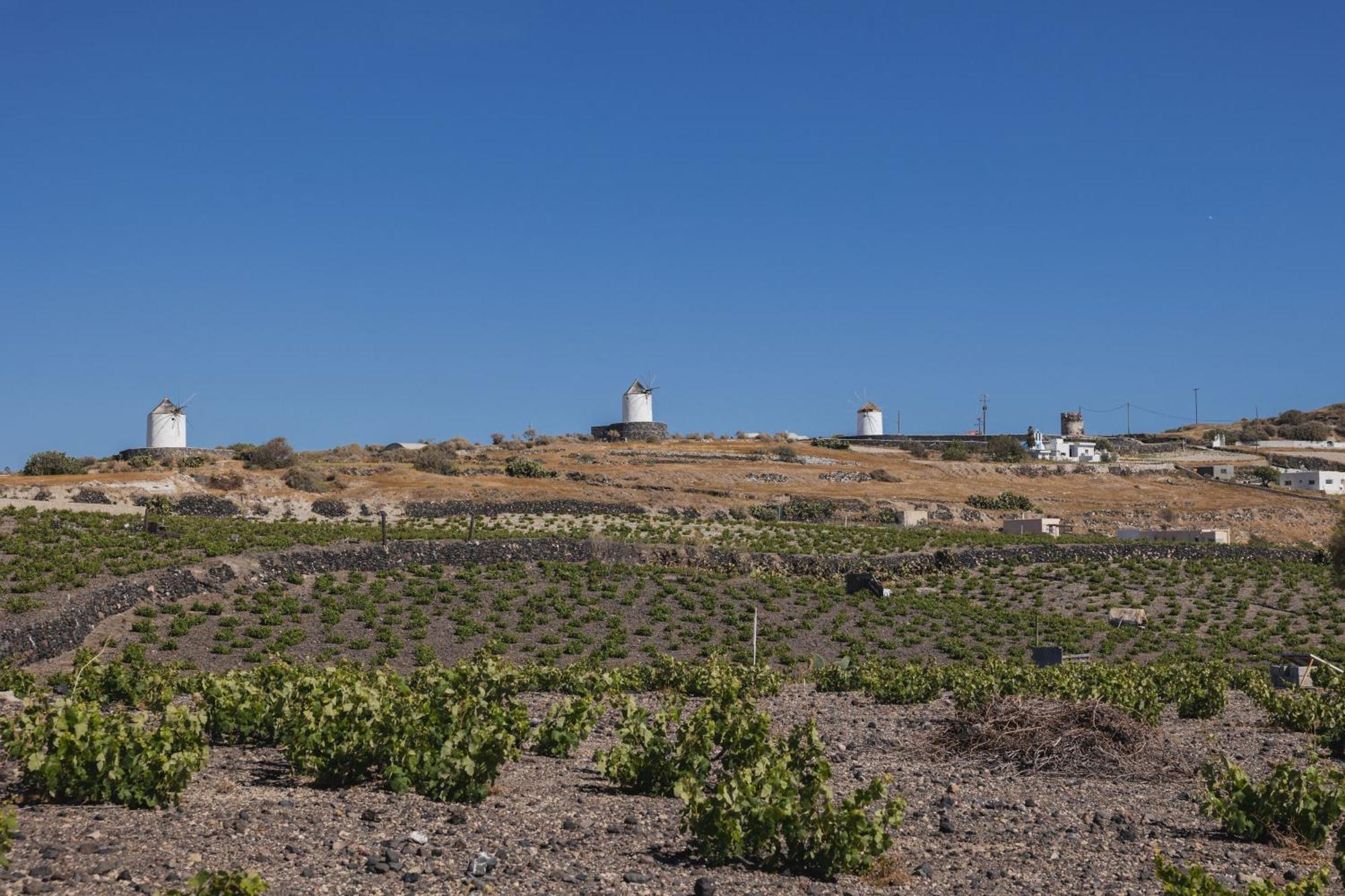 Windmillside Luxury Villas Εμπορειό Εξωτερικό φωτογραφία